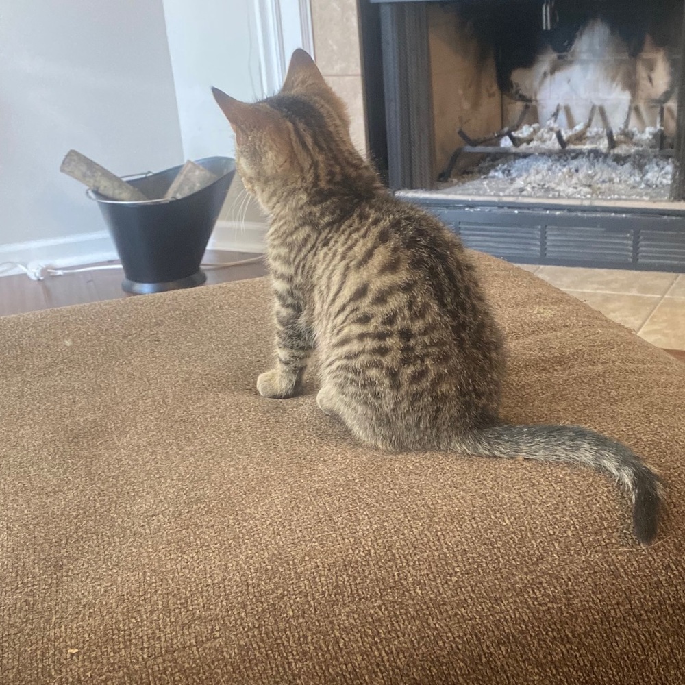 Meet your Posher, Christopher